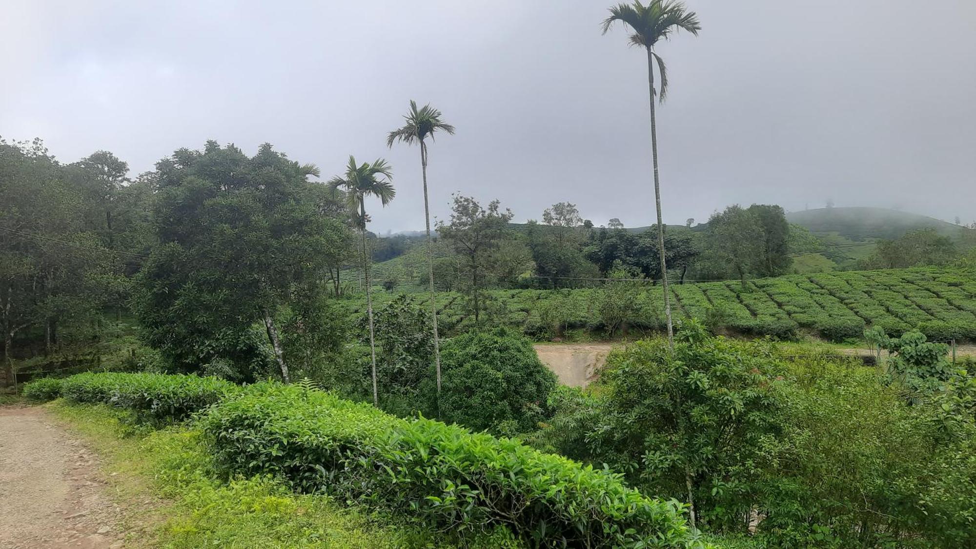 Paradise Meadows Vagamon Esterno foto