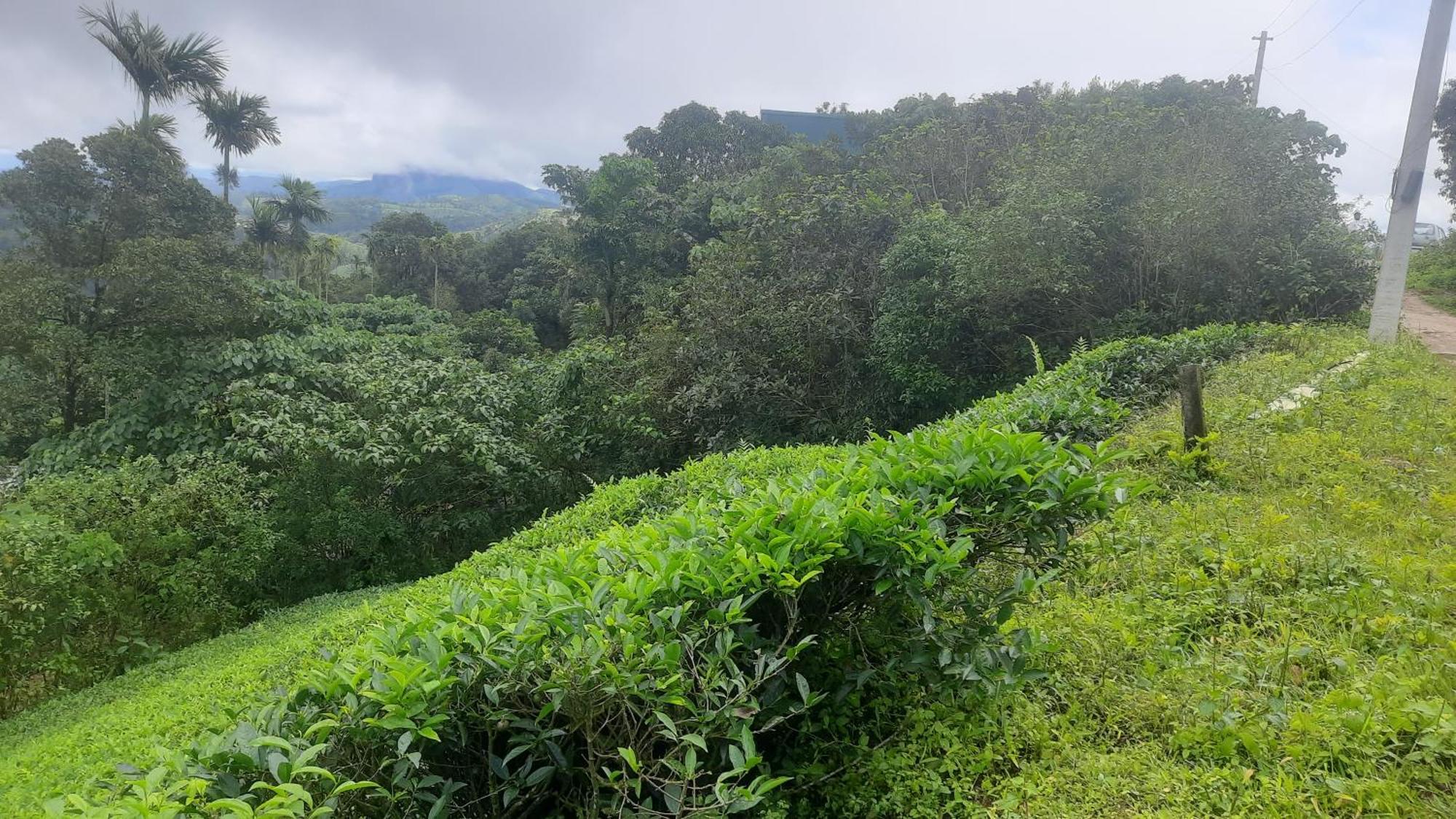 Paradise Meadows Vagamon Esterno foto